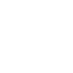 Icon noise