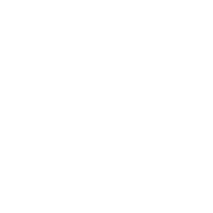 Icon scalable design