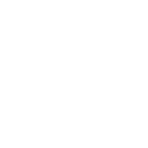 icon co2