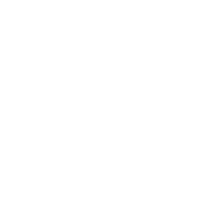 icon faster installation