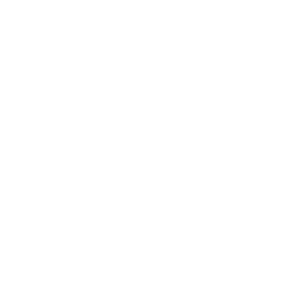 White 41 icon