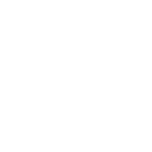 White 45 icon