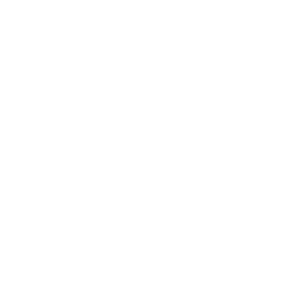 White 53 icon
