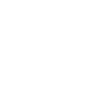 White 66 icon