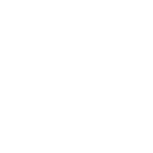 White 69 icon