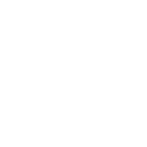 White Lightbulb idea icon